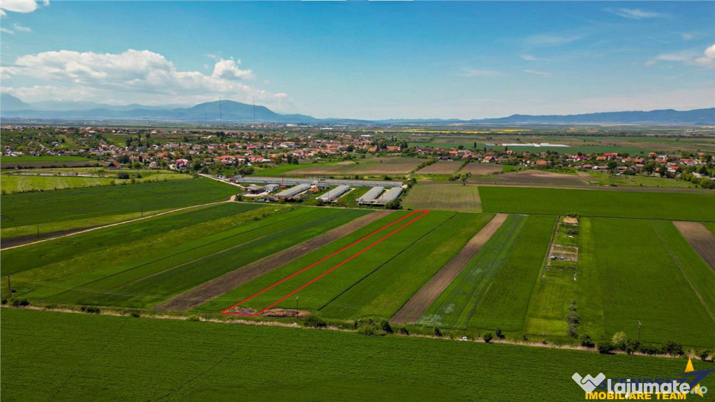 FILM! In areal linistit, acces facil, 5,000 mp teren extravi