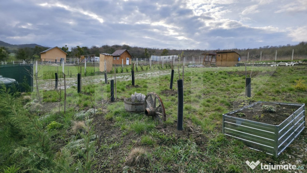 Teren extravilan 721mp Valea Stanelor