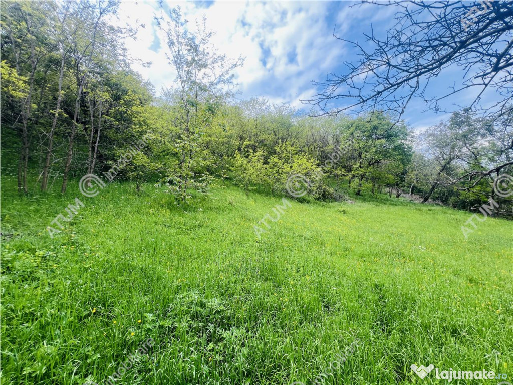 Teren intravilat de 1811 mp situat in Sibiel judetul Sibiu