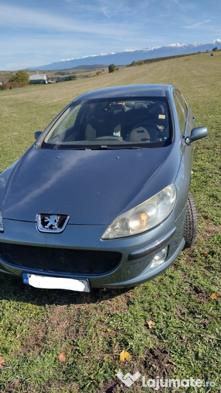 Peugeot 407 2. Hdi an 2004