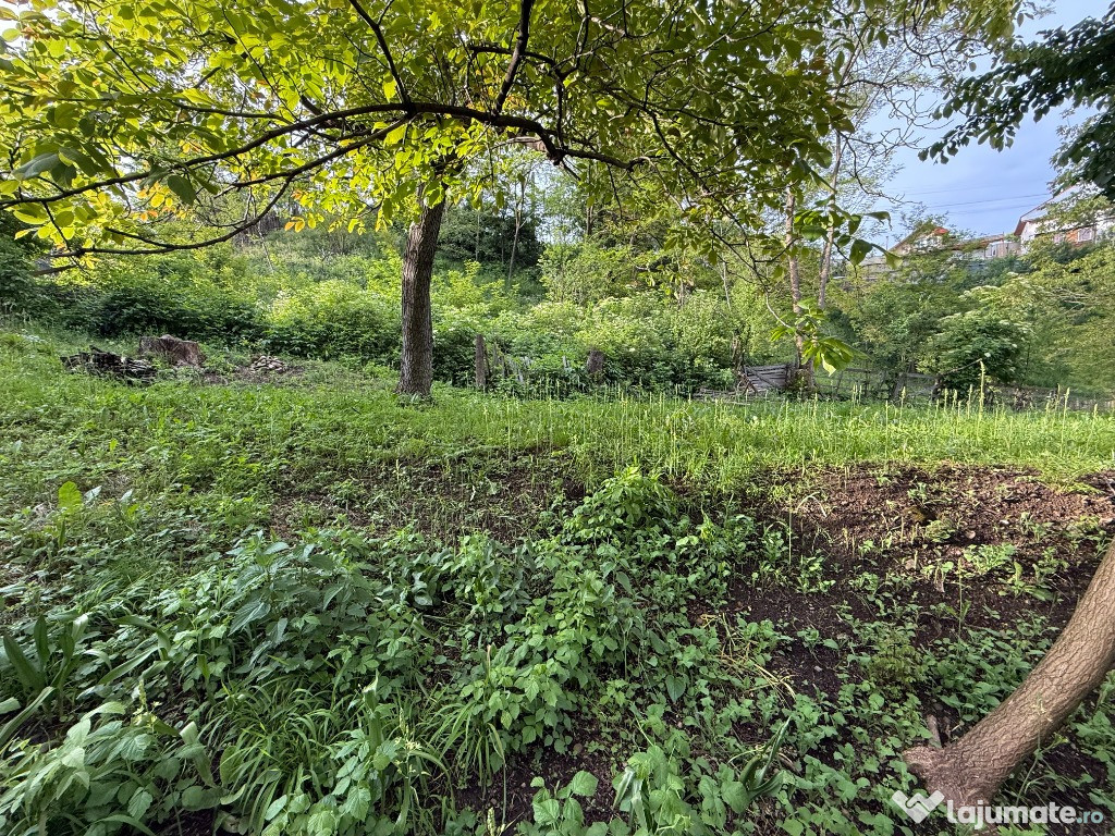 Teren de vânzare, intravilan – Măneciu-Ungureni, zona Gheaba – 350 m²