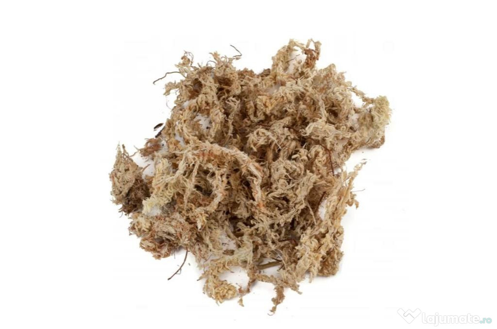 Sphagnum moss premium 1kg
