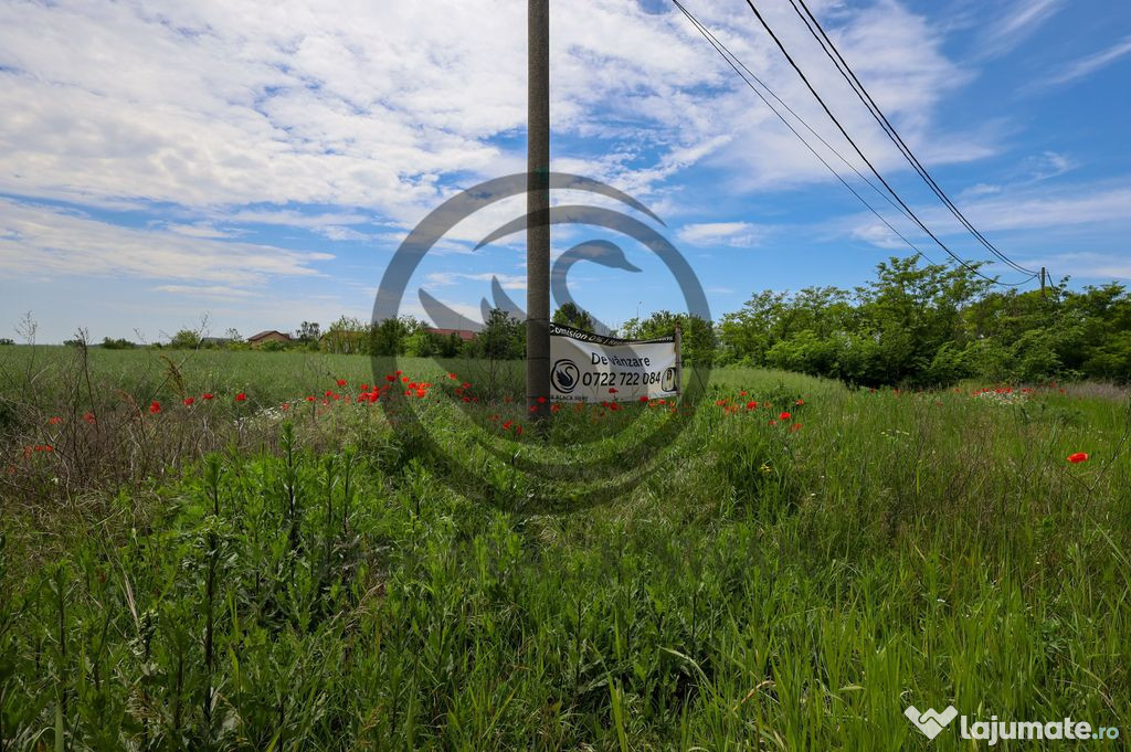 Teren de vanzare | 5000 mp | Parcul Industrial, Ploiesti ...