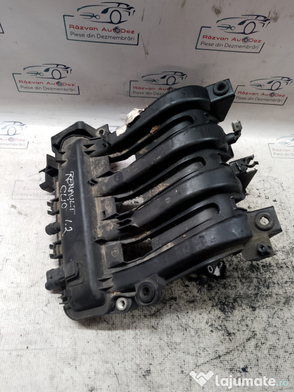 Galerie Admisie Plastic Renault Clio 1.2 2006