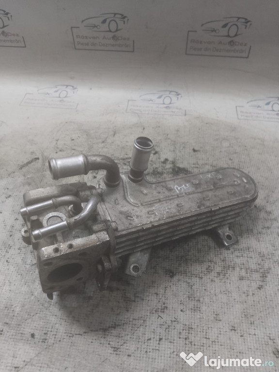 Racitor Gaze Volkswagen Golf 5 2009