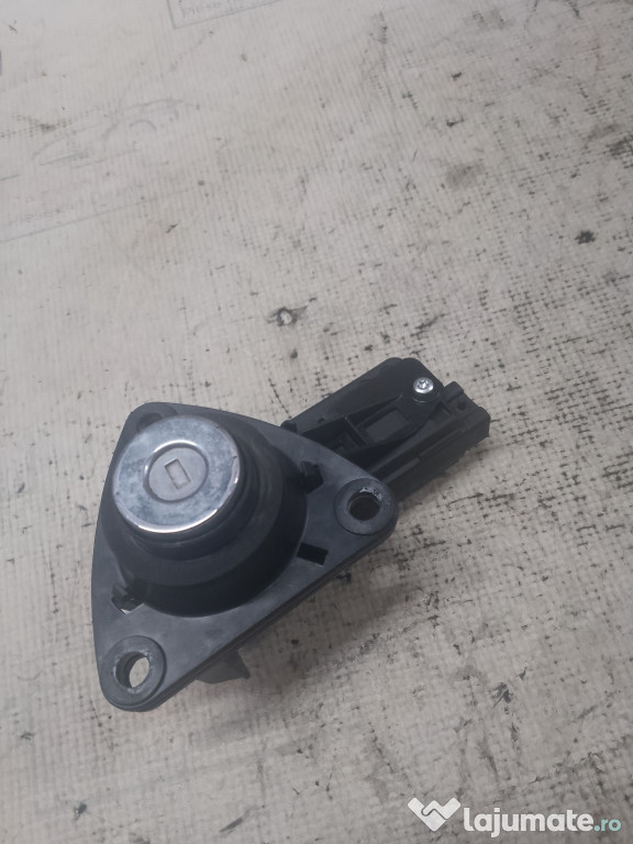 Butuc hayon Dacia Duster 2013