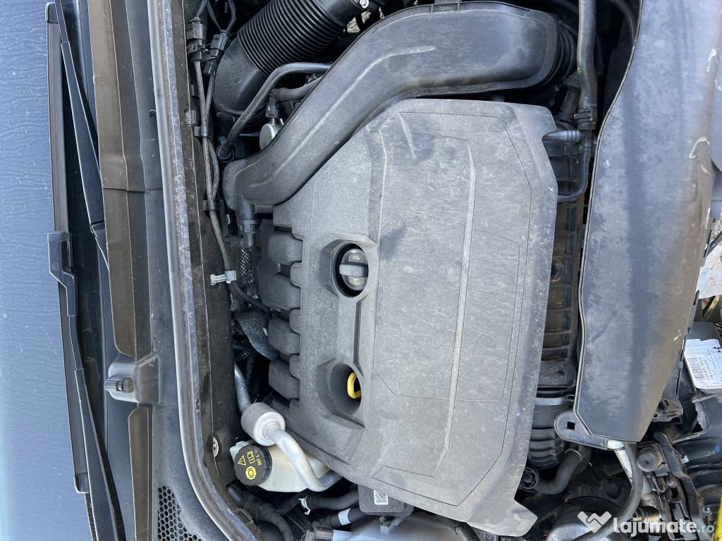 Motor dezechipat Skoda Scala 1.5 Benzina 2020