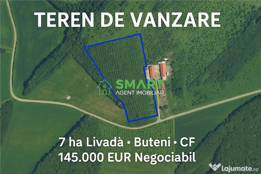 Teren 7 ha. livad#259; Buteni, Jud. Arad CF, acces drum neg
