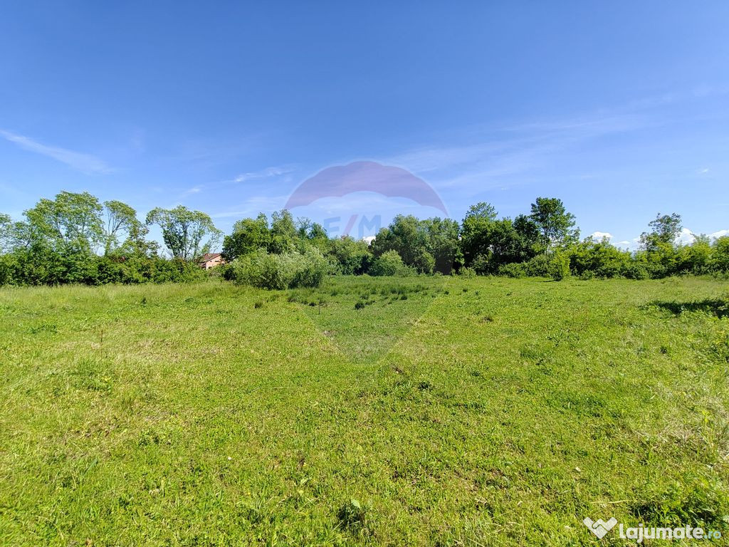 Teren Intravilan de Vanzare