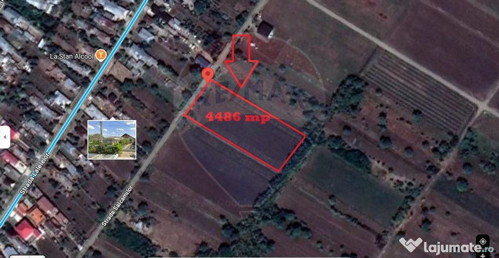 Teren intravilan cu suprafata de 4486 mp in Gologanu
