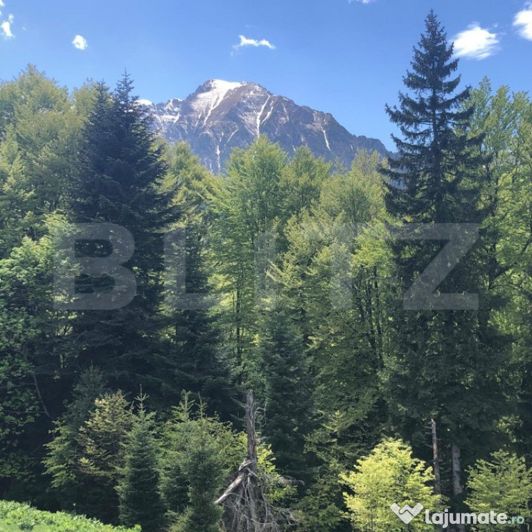 De vanzare, teren intravilan 10650mp, Predeal