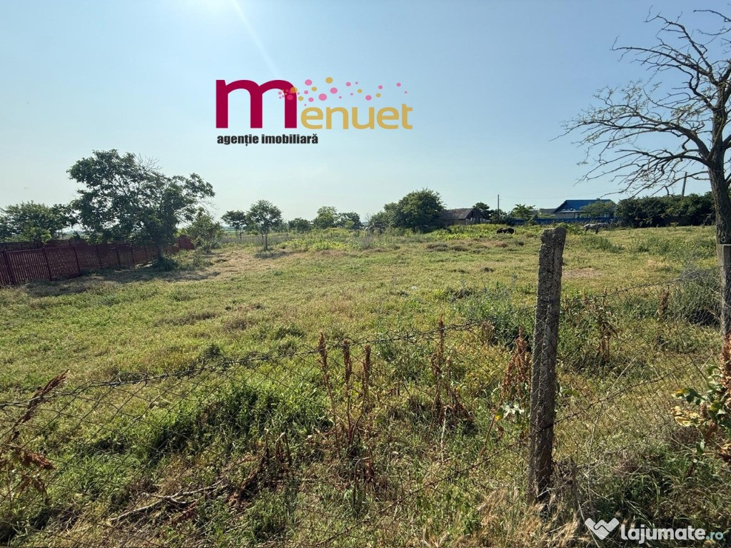 Teren 2900 mp , Dunavatul de sus