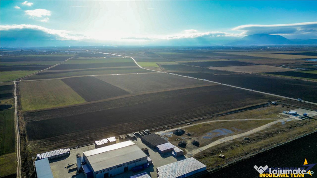 FILM! 60.000mp:strategica parcela urbana, documentatie aprob