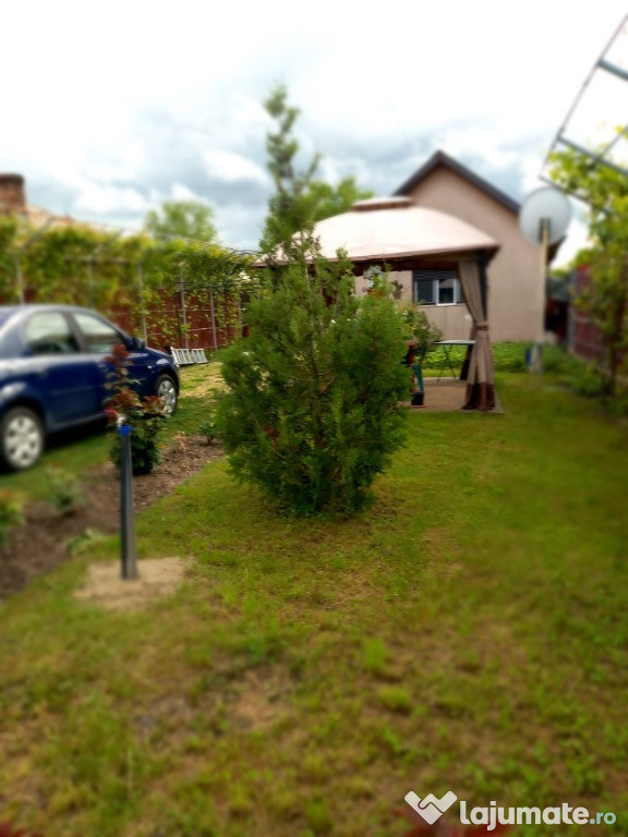 Teren + casa Bolintin Vale, Giurgiu, Suseni