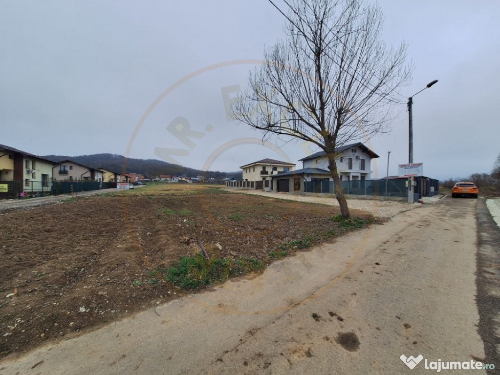 Teren 500-800 mp Braileni-Valea Ursului parcelabil