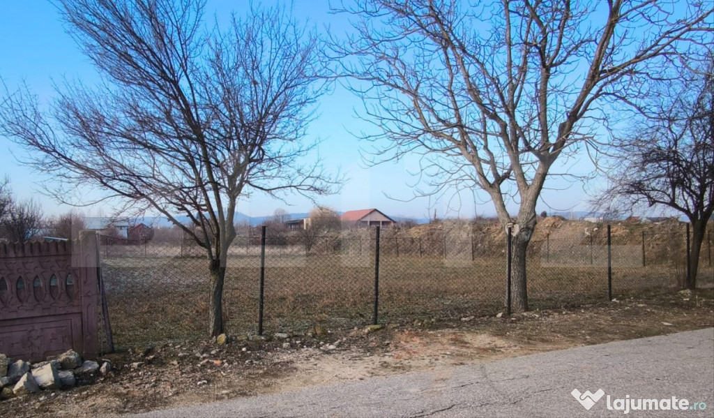 Teren intravilan 550 mp, stradal, zona Podari