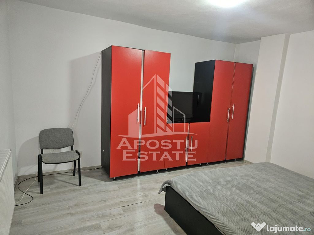Apartament cu o camera Buziasului