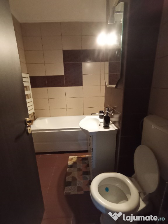 Apartament cu 1 camera, pod Nicolina, et.1