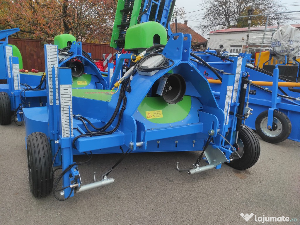 Topper ceapă Krukowiak Z801 1.5m