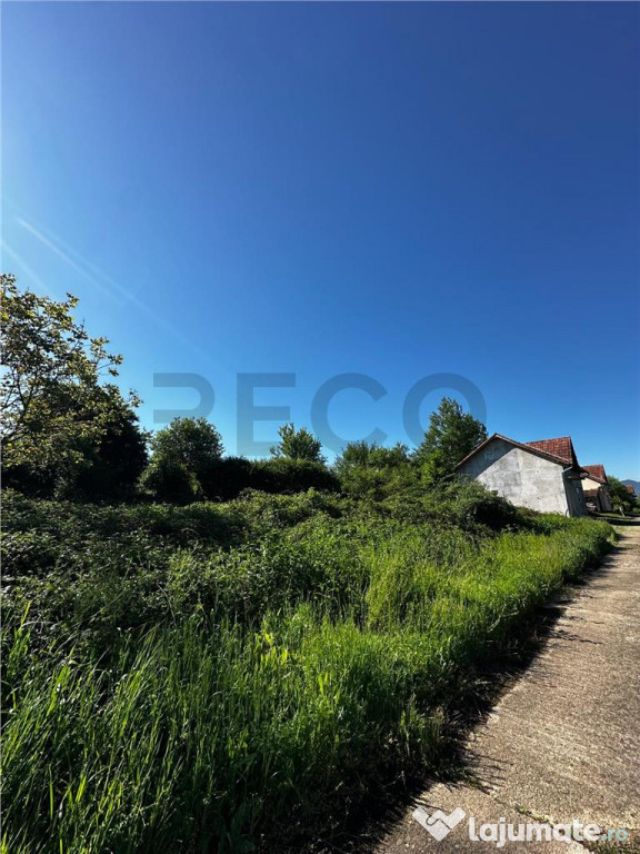 Reco Teren intravilan Beius