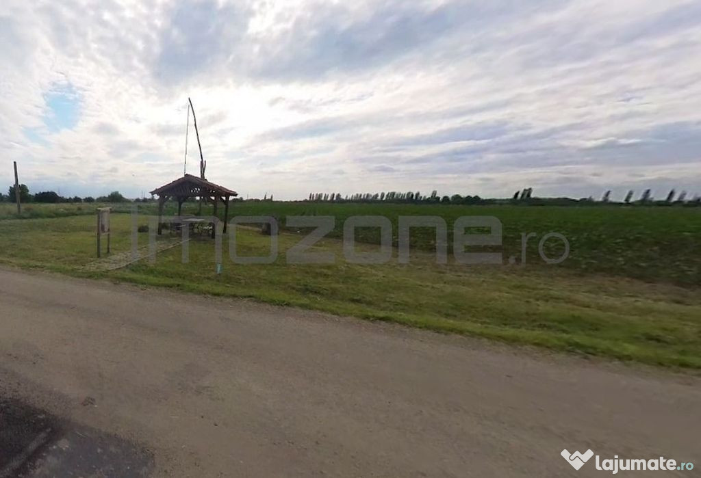 Teren | 21.000 mp | Moara Vlasiei | Caciulati | la cateva...
