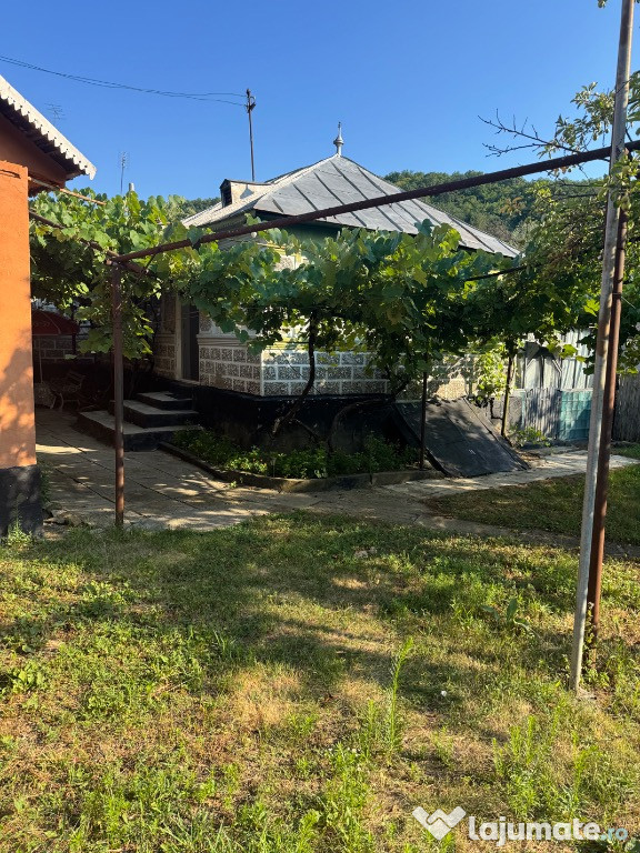 Casa/loc de vanzare in Sarata Monteoru