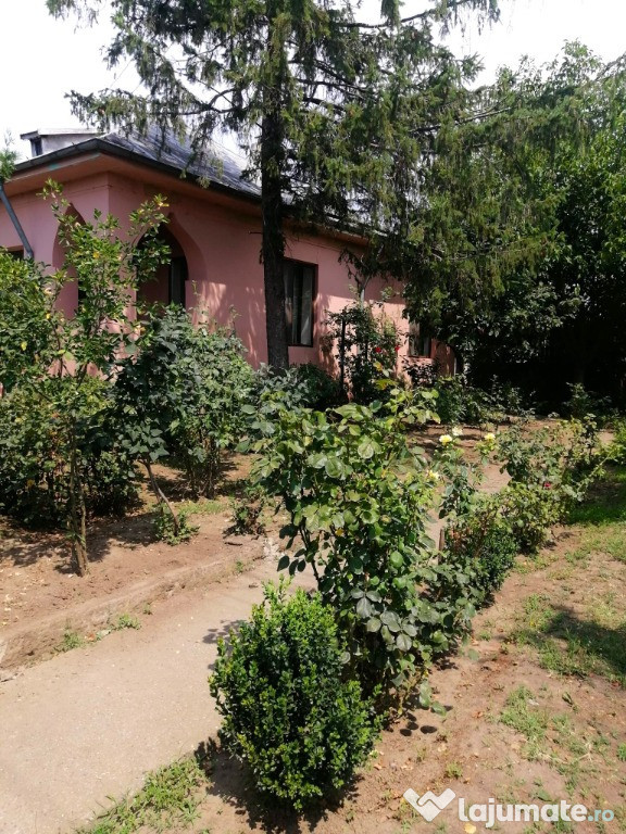 Casă spațioasă de vânzare în Pogoanele, județul Buzău