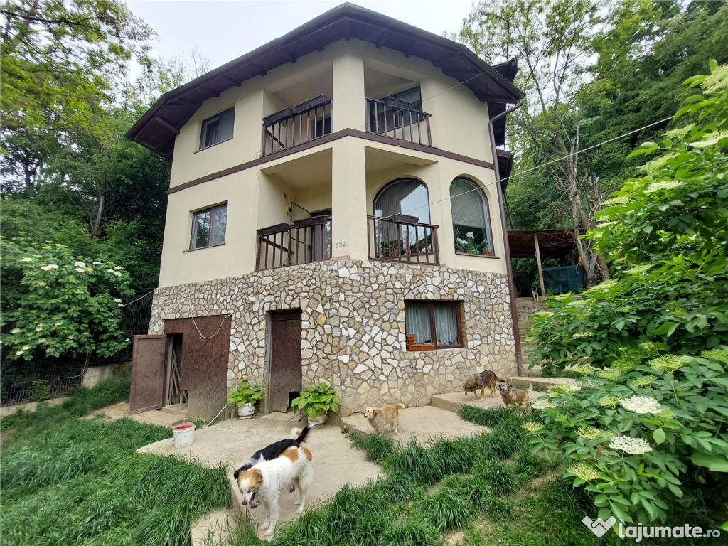 Casa tip D P 1, SISTEM AMVIC, teren 1000 mp, Sarata Monteoru