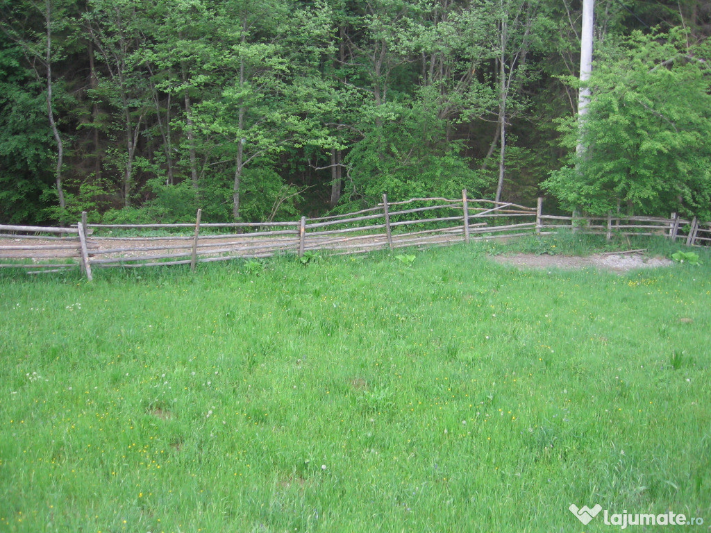 Teren intravilan Valea Doftanei