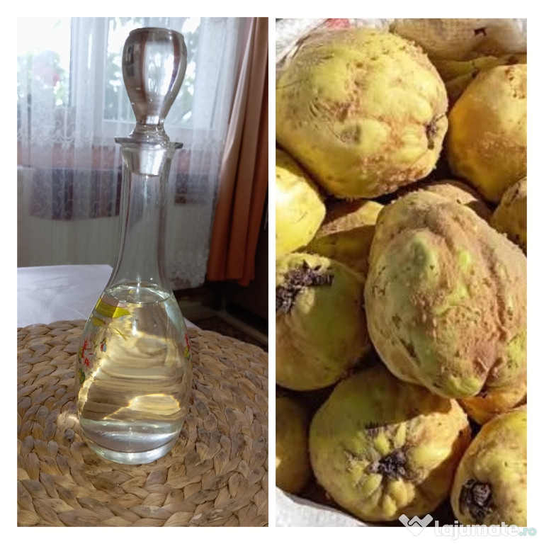 Palinca de GUTUI de soi