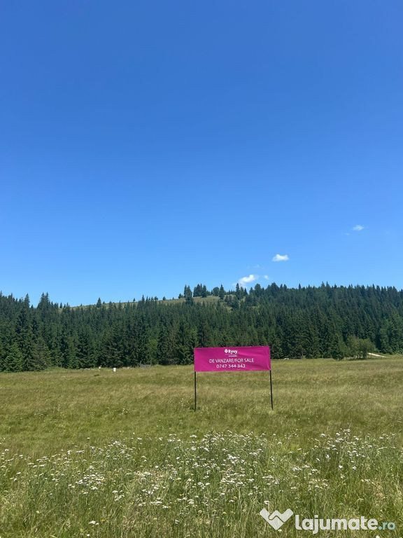 SUPER OCAZIE - Teren intravilan, COMANDAU!