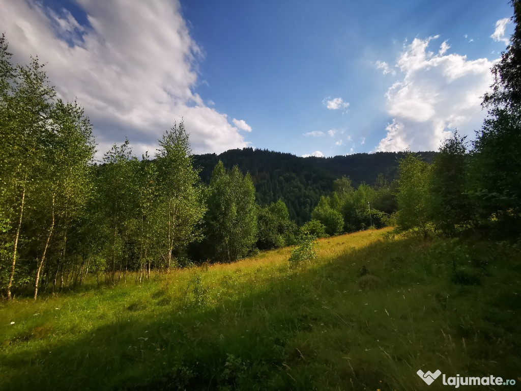 Vand teren Rachitele Cluj