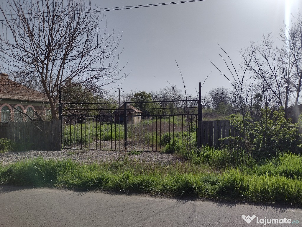 Teren intravilan 2566 mp. in loc. Romanu, jud. Braila zona centrala.