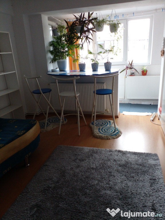 Apartament 1 camera Radu Negru