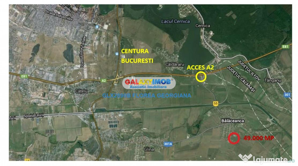 Teren 49.000 mp Balaceanca - Cernica