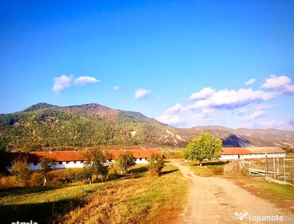 Teren intravilan in Cislau jud. Buzau cu grajduri 17500mp