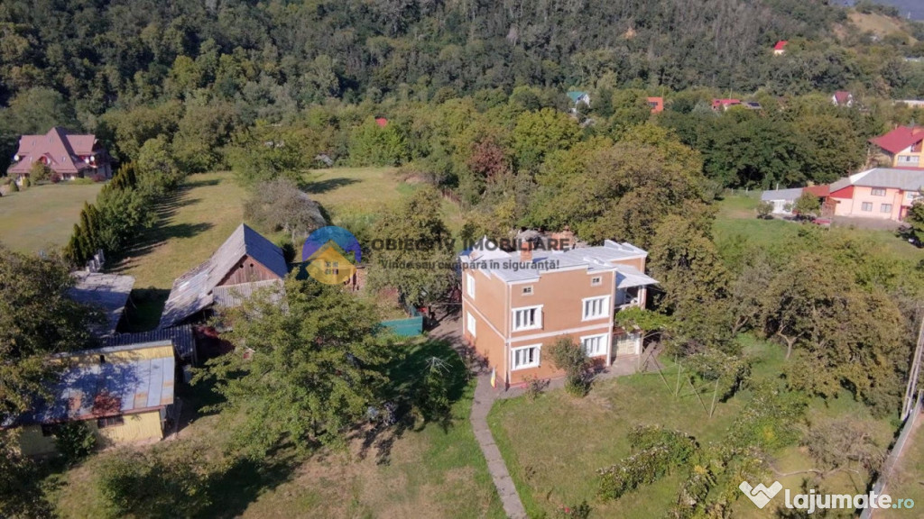 ???? Casa tradițională de vânzare - Alexandru cel Bun- vi