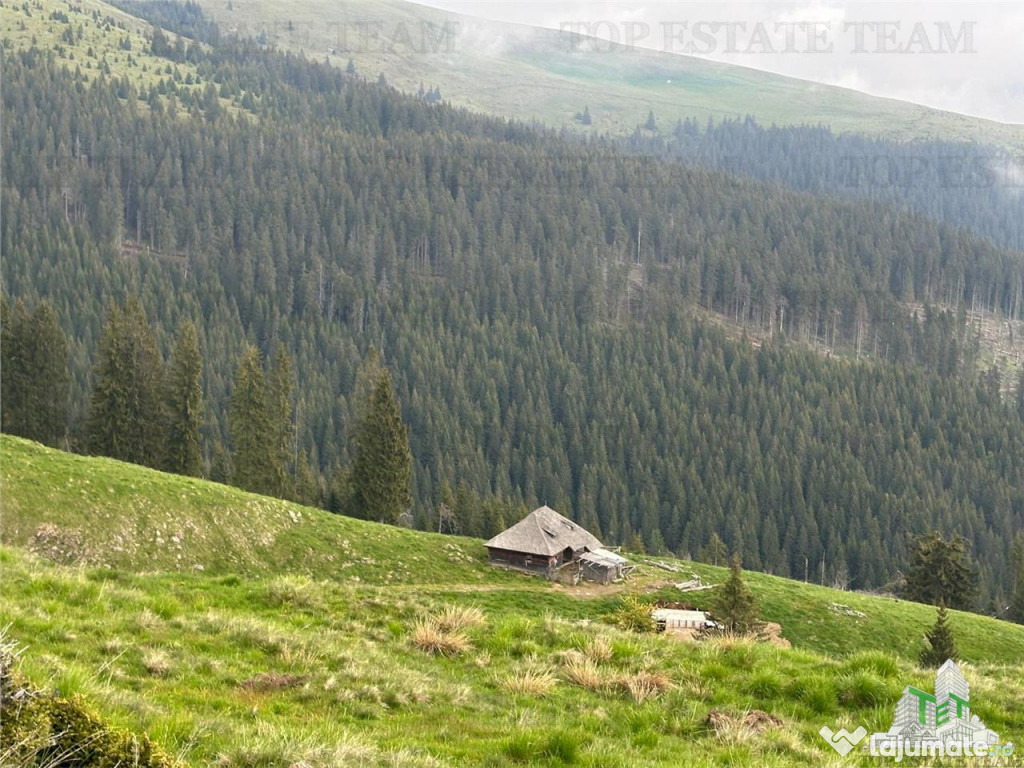 SUPER OPORTUNITATE, DE VANZARE O PROPRIETATE SPECIALA VARFUL