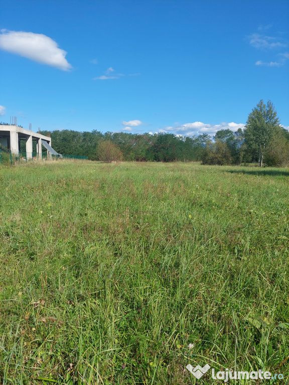 TEREN INTRAVILAN\699 mp, 45€ mp\ CARANSEBEȘ\ ZONA TEIUȘ