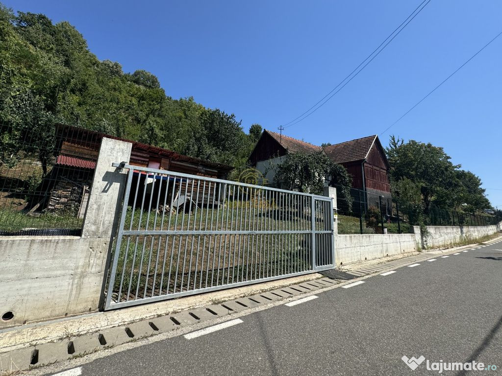 De vanzare Casa cu teren 35000MP in Sabisa/Maramures