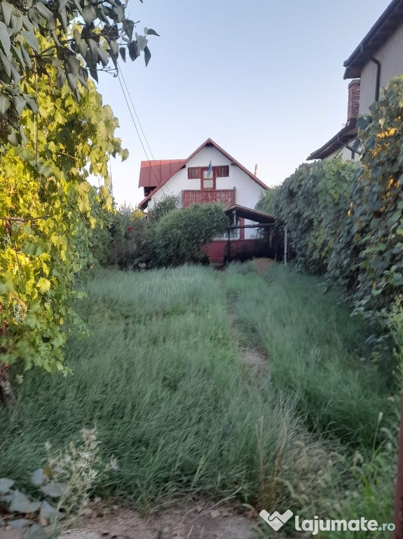 Casa Negoiesti - Prahova