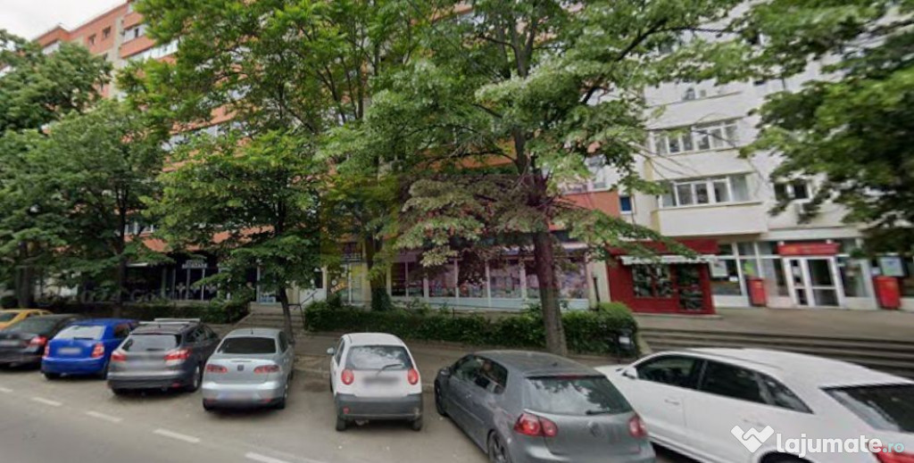 Inchiriere spatiu comercial in zona Teiul Doamnei, stradal