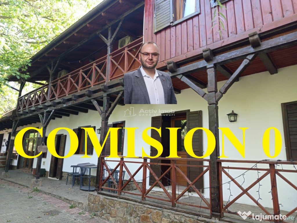 Ilidia, Afacere la Cheie, Casa de Vacanta 20 Incaperi, ZERO