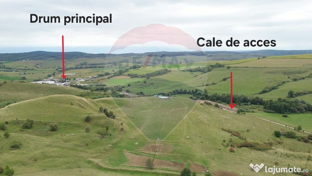 Teren de vanzare, 65 hectare - Agnita