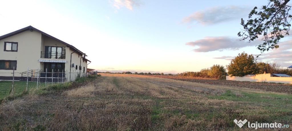 Teren intravilan Piscu 5000mp
