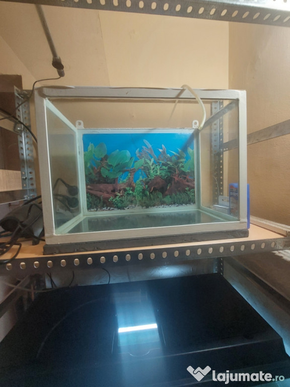 Acvariu pești cu filtru