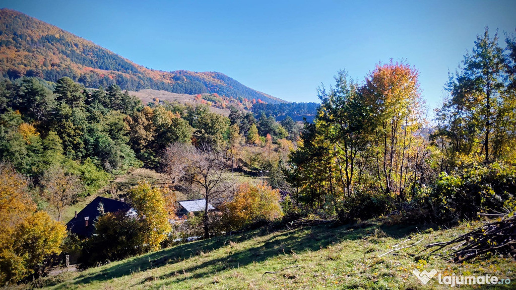 Teren 3600 mp la 5 min. Piatra Neamț, asfalt