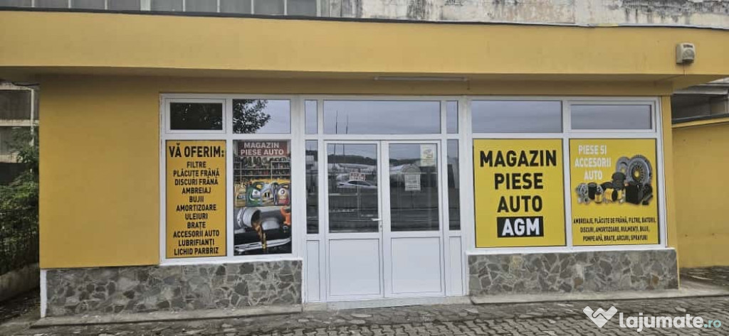Piese Auto Maracineni si Argeselu
