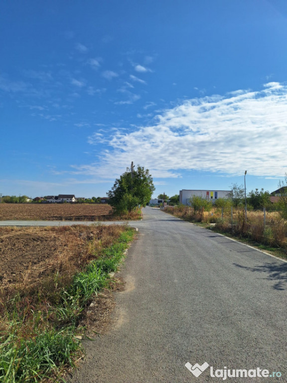 Snagov- Ciofliceni, loturi de casă între 520-670mp, Șerba