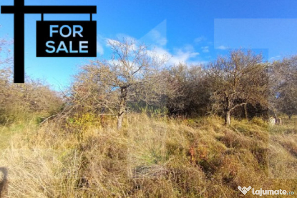 Oportunitate de investitie in zona Wonderland